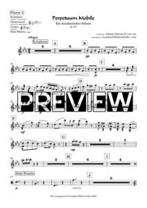 Player 2 - preview