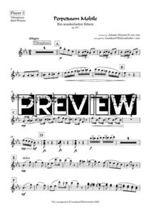 Player 3 - preview
