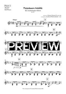 Player 4 - preview
