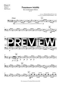 Player 5 - preview