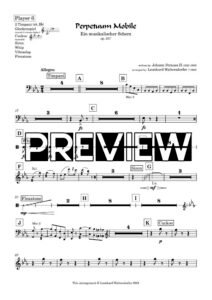 Player 6 - preview
