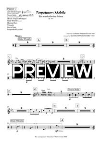 Player 7 - preview