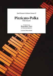 vpe_pizzicato-polka_cover-trio
